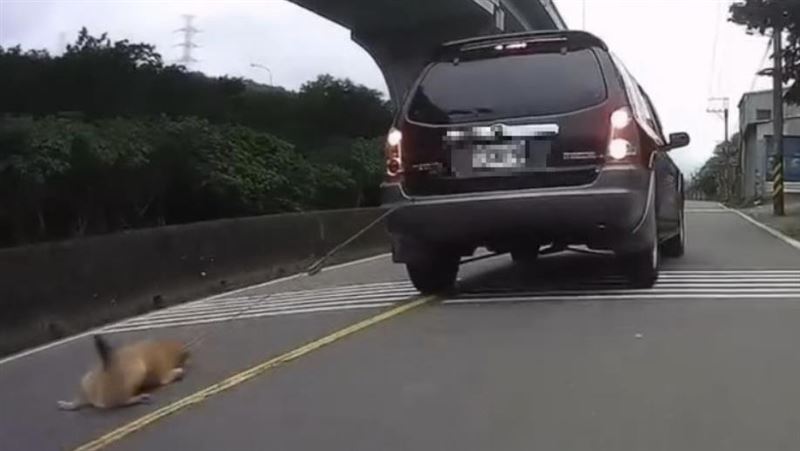 可憐米克斯被無故綁在車後拖行,遭遇十分心疼。(圖/翻攝畫面)