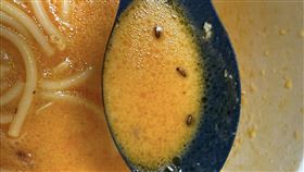 嵐迪,湯麵,蟑螂。（圖／民眾授權提供）