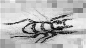 箱屍有蜘蛛刺青！牠爬上背…警1句嫌癱軟