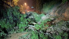 雨彈襲彰化！縣道139線路樹倒塌全線封閉