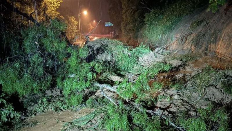 雨彈襲彰化！縣道139線路樹倒塌全線封閉