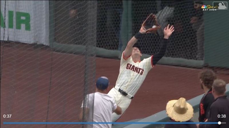 雅澤姆斯基（Mike Yastrzemski）撲進場邊護欄沒收界外球。（圖／翻攝自MLB官網）