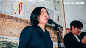 國民黨立委陳玉珍受訪。(圖/記者楊士誼攝影)