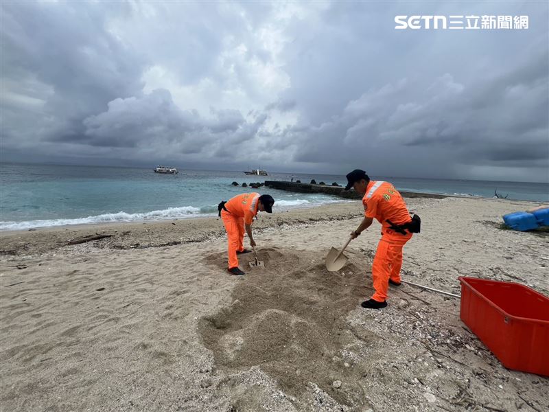海巡人員於沙灘就地掩埋海龜，回歸大自然。（圖／翻攝畫面）
