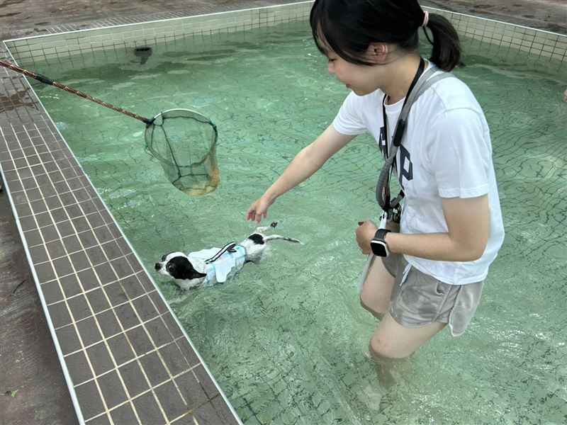 不但可以戲水,還可以做水療復健。(圖/桃園市農業局提供)