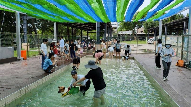 桃園毛孩水樂園開張　預約方法一次看