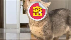 ▲（圖／翻攝自微博）