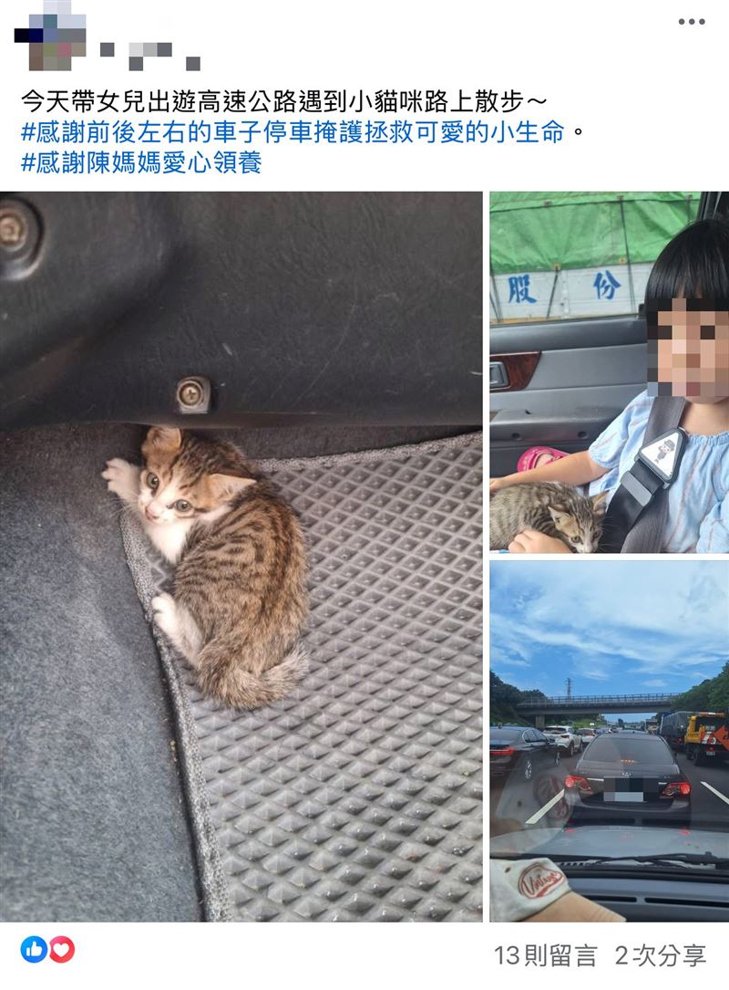 男子在臉書上發文分享救貓心情。(圖/翻攝自臉書)