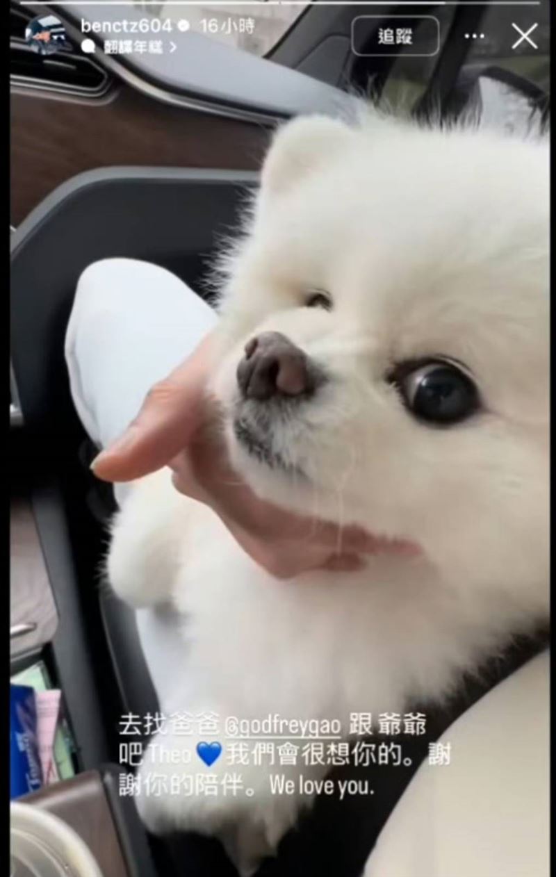 高以翔愛犬離世。（圖／翻攝自微博）