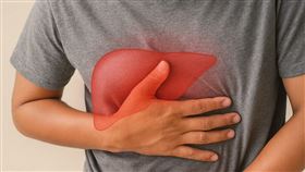 肝癌、傷肝、肝臟、肝病、肝炎 示意圖／AI生成