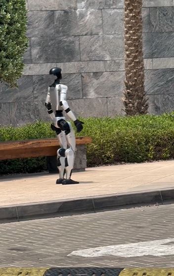 跑過馬路到人行道上後,機器人又改為走路模式。(圖/翻攝自IG)