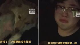 愛犬,寵物,走失,尋犬,淚崩,等待（圖／翻攝自荔枝新聞）