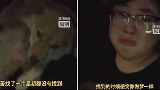 愛犬走丟1週！他下班驚見「1身影」淚崩