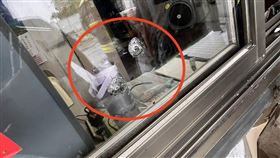 快訊／台中南屯傳槍響！24歲女「手部中彈」送醫　現場遺留2鋼珠彈