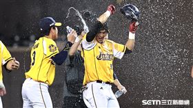 ▲中職36年例行賽，中信兄弟外野手岳政華敲出再見安打。（圖／記者劉彥池攝影）