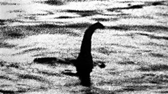 尼斯湖水怪逆流探頭　遊客嚇傻：那是什麼