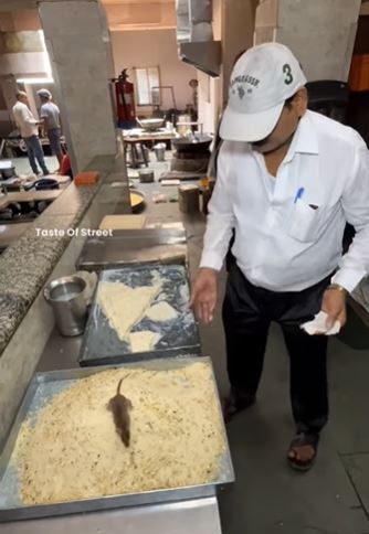美食部落客拍下,老鼠跑到做印度小吃的食材上。(圖/翻攝自IG@taste_of_street)