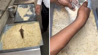 百年老店「碰老鼠沒在怕」爬過食材繼續用