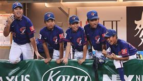▲U12台灣小將。（圖／棒協提供） 