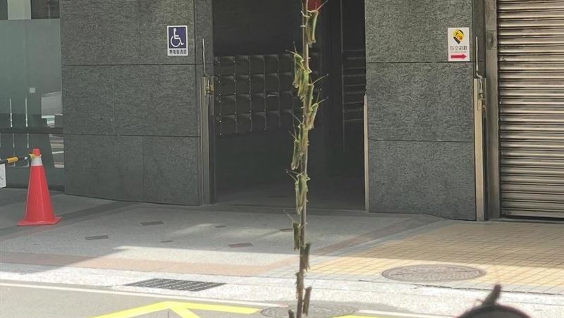 新北爆「蝗蟲大軍」入侵…農業局說話了！