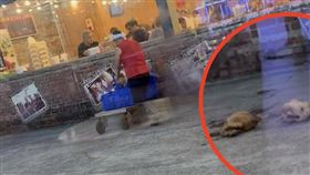 烤雞,落地,甕窯雞,地板,芎林交流道（圖／翻攝自《新竹大小事》）