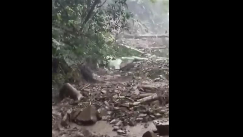 嘉義 阿里山,修路,土石流,怪手司機。(圖/翻攝爆料公社)