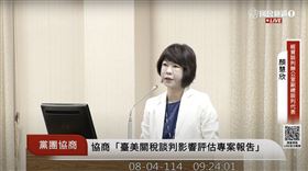 ▲經貿談判辦公室副總談判代表顏慧欣出席黨團協商。（圖／翻攝自國會頻道） 