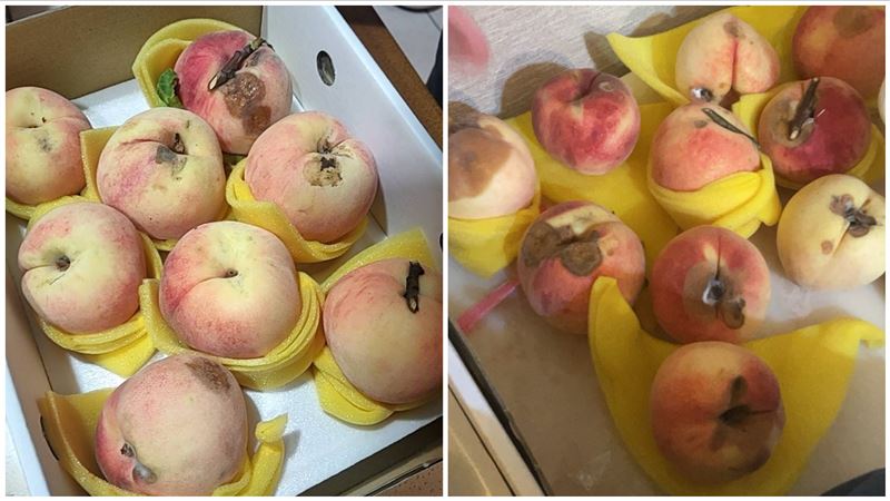 拉拉山買32顆水蜜桃「爛24顆」苦主開箱傻