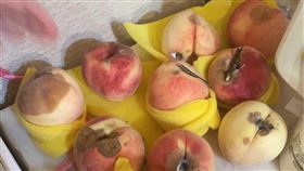 拉拉山,水蜜桃,爛果,發霉（圖／翻攝自《爆怨2公社》）