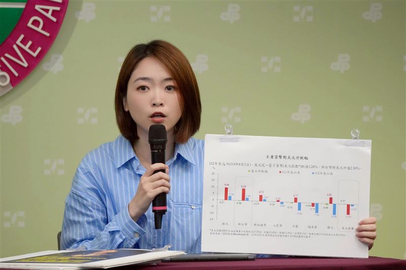 民進黨發言人吳崢、韓瑩今（4）日召開「秋後算帳砍預算？國民黨又想打壓海巡國防！」記者會。（圖／民進黨提供）