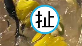 女網友在青檸酸梅冰中發現一隻青蛙，影片曝光引起網友極度反感與憤怒。（翻攝自ig @duniaresepi）