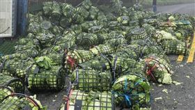 南投,合歡山,高麗菜,自撞,山壁,貨車。（圖／翻攝畫面）