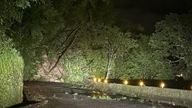 中橫大規模崩塌！電線桿被扯斷全停電
