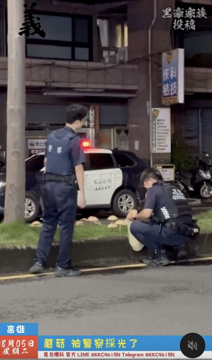 民眾直擊警方深夜除菇畫面，引起網友熱議。（圖／翻攝黑色豪門企業）