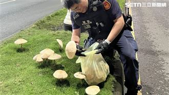 分隔島「Say菇掰」畫面曝　網：警管很寬