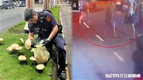 高雄,香菇,分隔島,綠褶菇,警方,鳳山區,豪雨,打卡