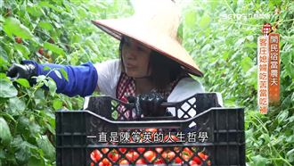 開民宿當農夫　客庄媳婦吃苦當吃補