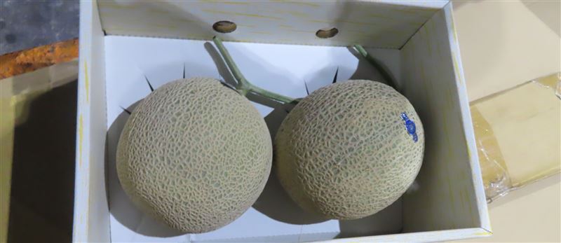 日本進口的「鮮蜜瓜」檢出殘留農藥撲滅松0.33。（圖／食藥署提供）