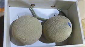 日本進口的「鮮蜜瓜(FRESH MELON)」檢出殘留農藥撲滅松0.33。（圖／食藥署提供）