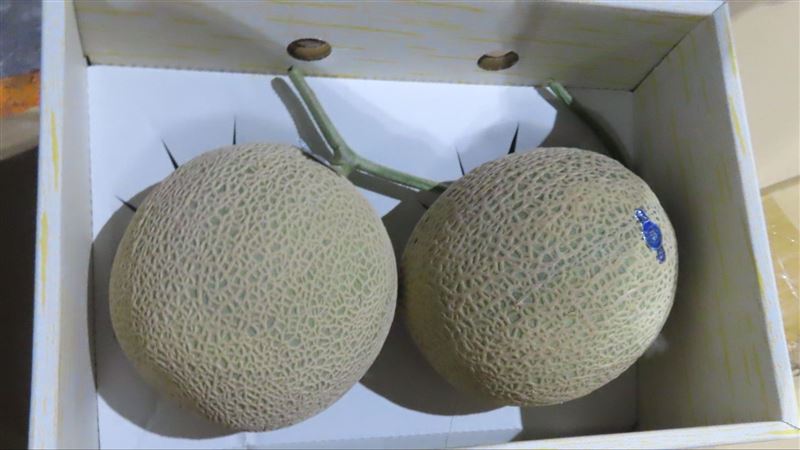 農藥超標33倍！日「這款鮮蜜瓜」邊境攔截