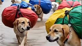 （圖／翻攝自杜承哲醫師臉書）