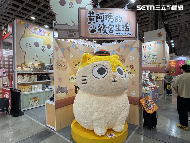 人氣貓咪IP「黃阿瑪的後宮生活」。(圖/記者柯美儀攝影)