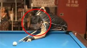 命案,亂刀,砍死,河智媛,兇嫌,凶嫌,前科,台中,詹智能,撞球（圖／翻攝自網路）