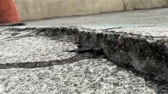 潮境公園路面差6公分　志工摔粉碎性骨折