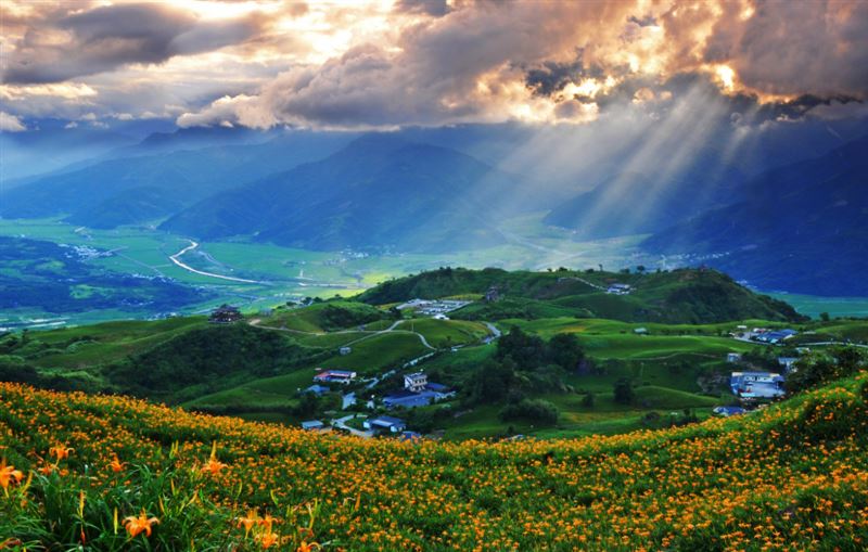 六十石山的雲海搭配花海，是攝影迷最愛的清晨畫面。（圖／翻攝自花蓮觀光資訊網）