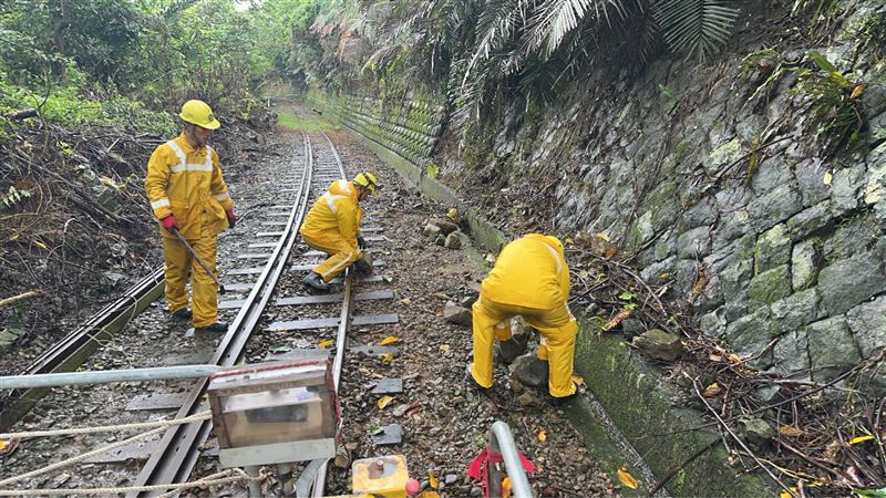 阿里山森林鐵路本線宣布於7日復駛。（圖／林鐵處提供）