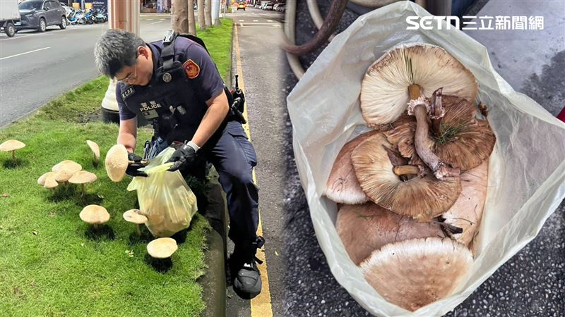 萬萬沒想到,警方拔香菇畫面曝光引發正反兩極。(圖/翻攝畫面)