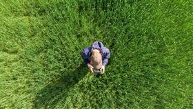 ▲KPMG發布《2025全球ESG風險調查》，指出逾八成企業未將永續風險有效納入經營策略，跨國企業面臨整合與韌性治理的重大挑戰，調查指75%企業無法串接永續與財務資料，影響決策效率。（示意圖／PIXABAY）