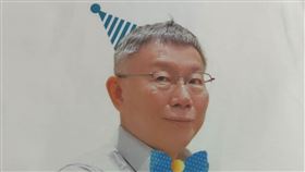 陳佩琪說，今年不跟柯文哲說「生日快樂」。（圖／翻攝自陳佩琪臉書）