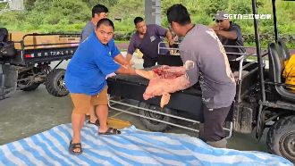 獨／暴雨毀路 豬肉「長征118公里」送部落